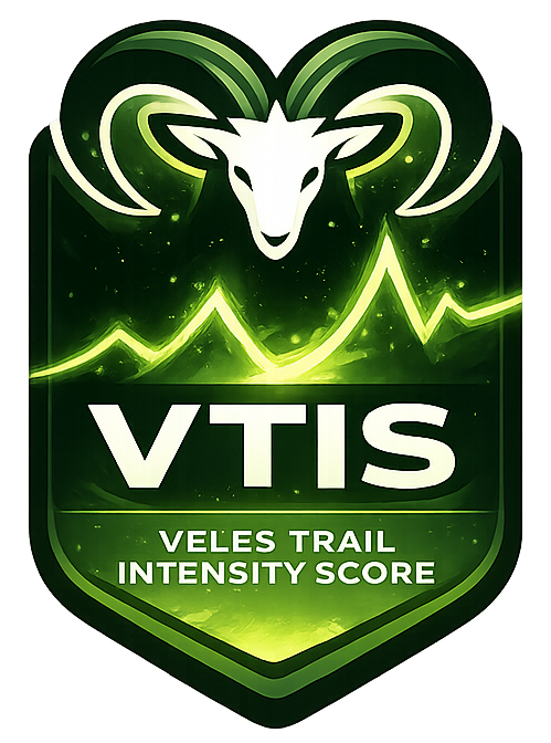 VTIS logo